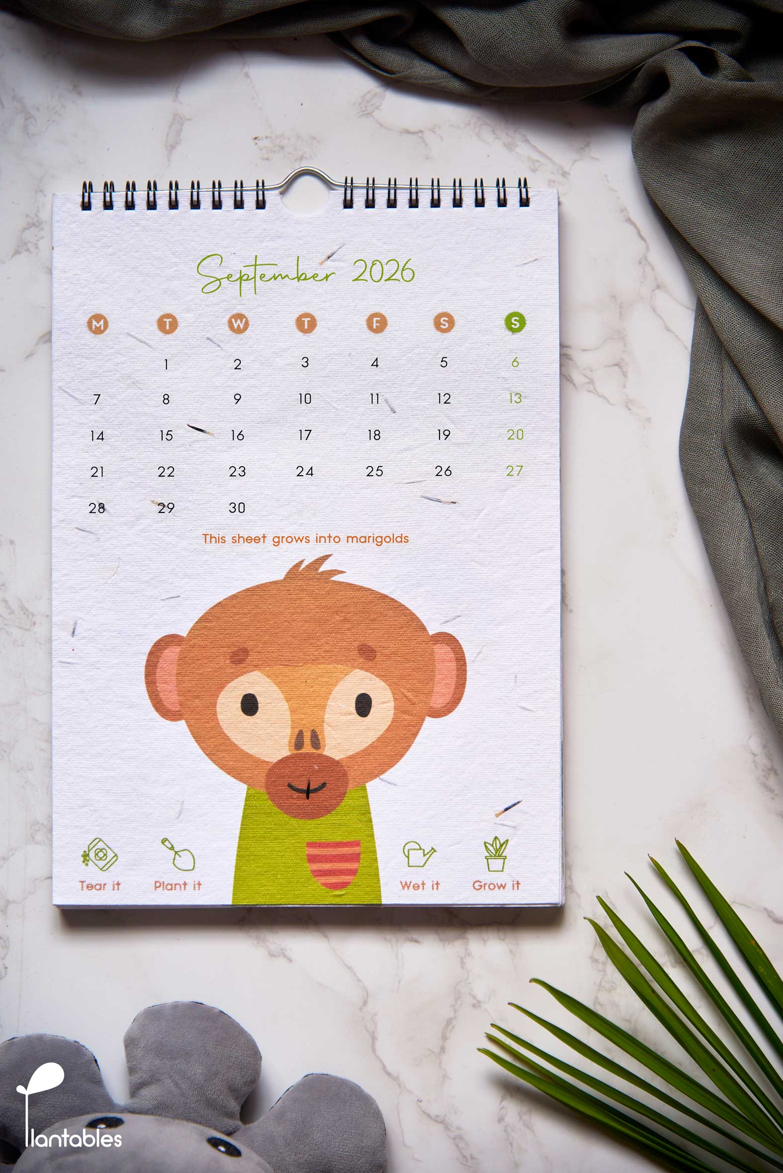 Welcome to the Jungle | A Kids Wall Calendar for 2026