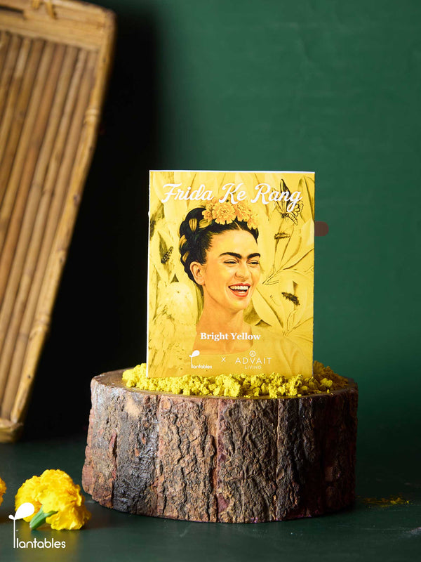 Frida ke Rang | Bright Yellow Gulal