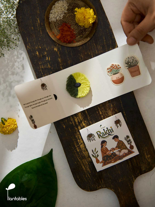 Earthline Rakhi, two-tone green cotton pompom rakhi with plantable seed paper centre