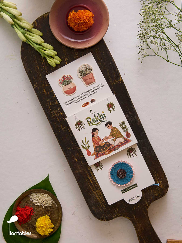 Frill Seeker Rakhi, frilled layered petal design in plantable seed paper