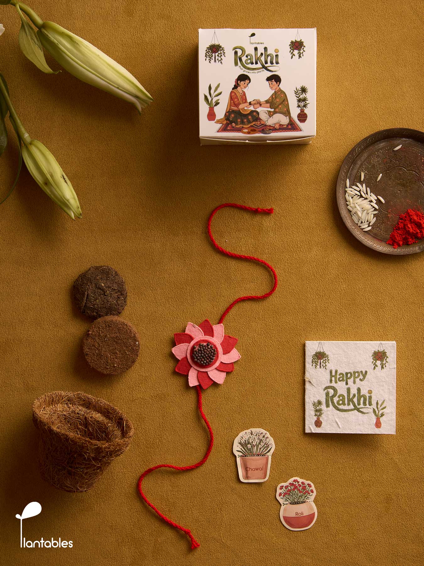 Whorlwind Rakhi Planting Kit, layered petal rakhi with seed paper greeting card, roli chawal pockets and coir pot