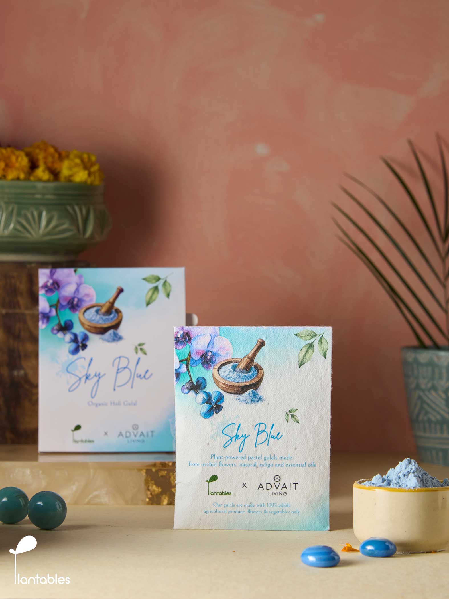 Rangrez | Sky Blue Gulal