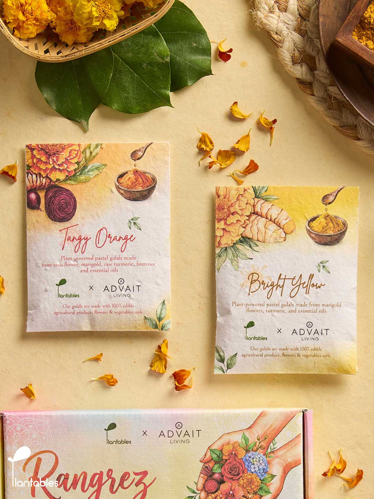Rangrez Holi Art Kit | Organic Gulals & Plantable Postcards