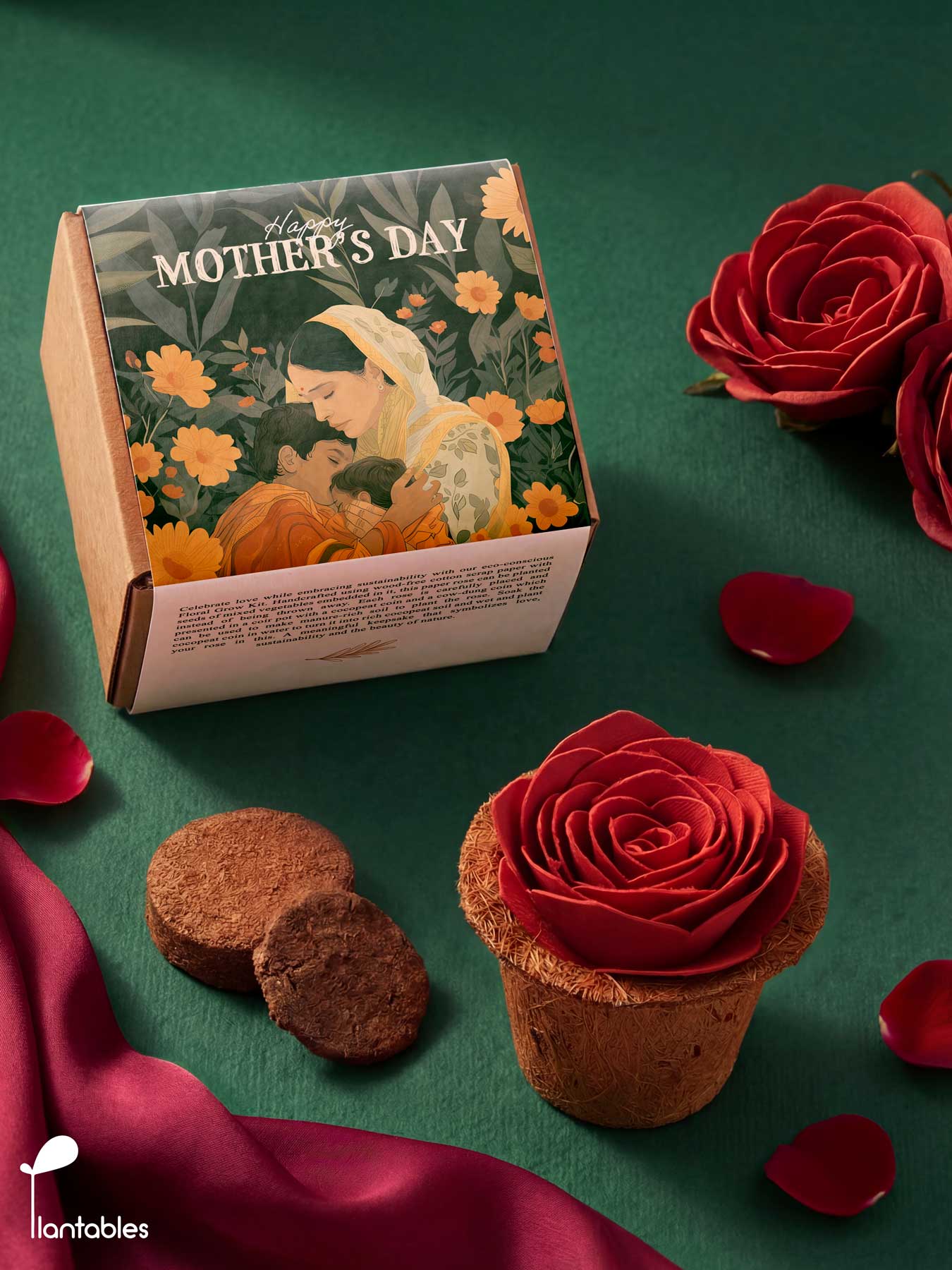 Mother's Day Red Rose Grow Kit
