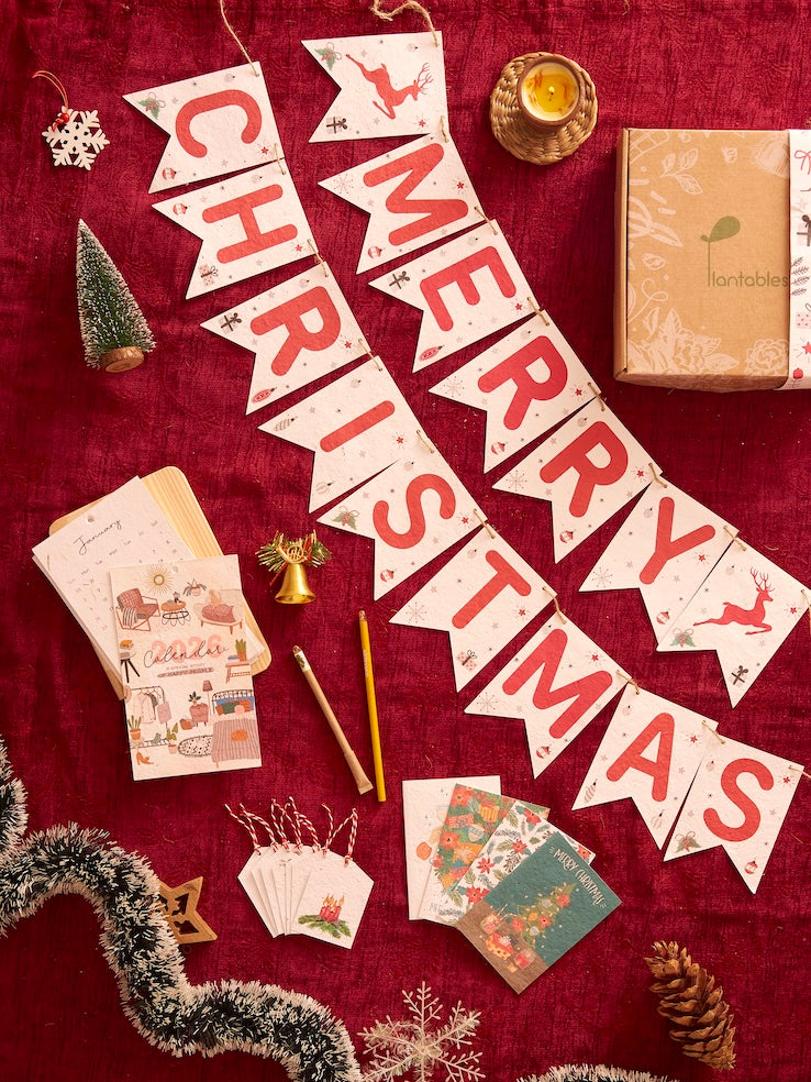 The Yuletide Kit: A Plantable Christmas Mini Gift Kit