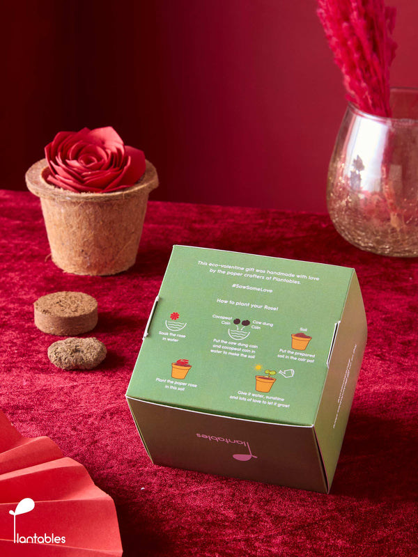Penguin Love Plantable Rose Grow Kit