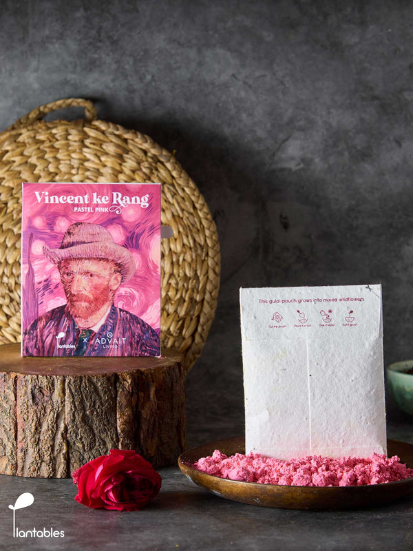 Vincent ke Rang | Pastel Pink Gulal